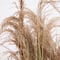 4ft. Golden Yellow, Green & Brown Potted Artificial Pampas Grass